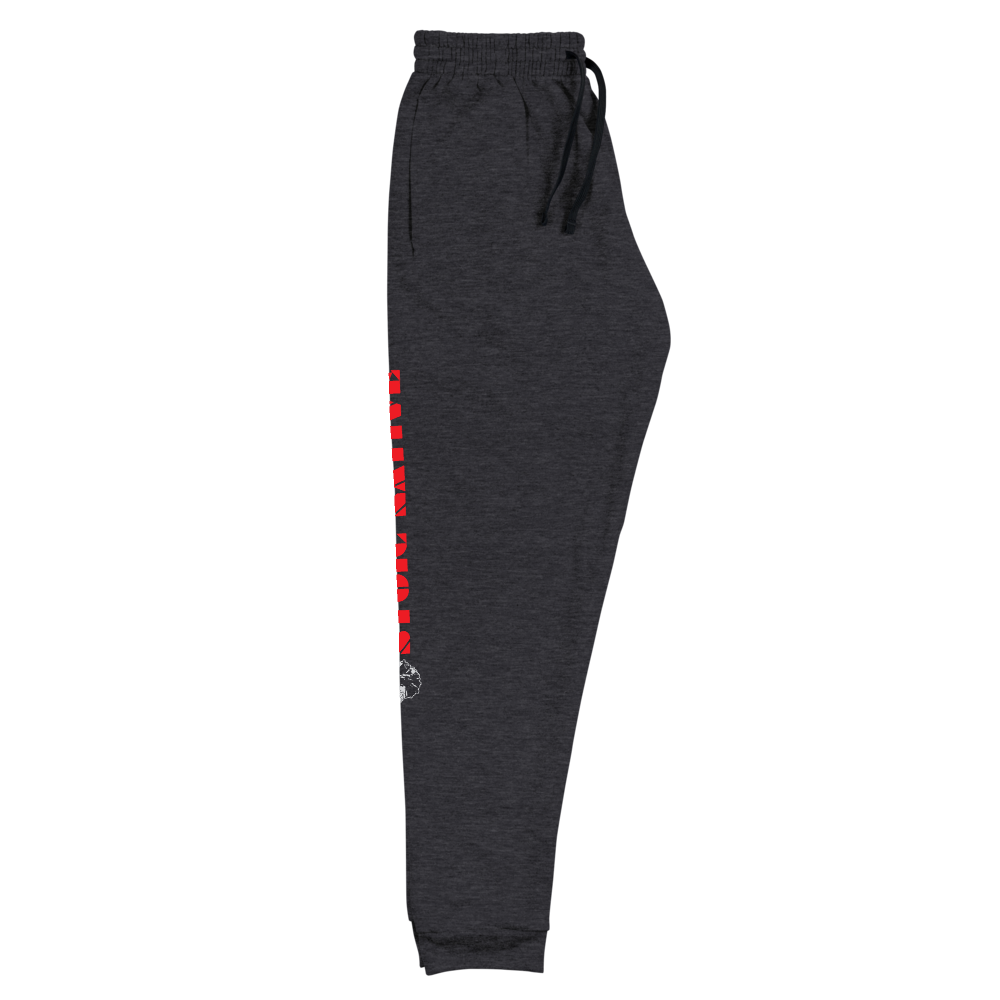 Sing Loud Dance Proud Unisex Joggers