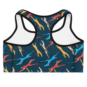 Horse Herd Sports bra